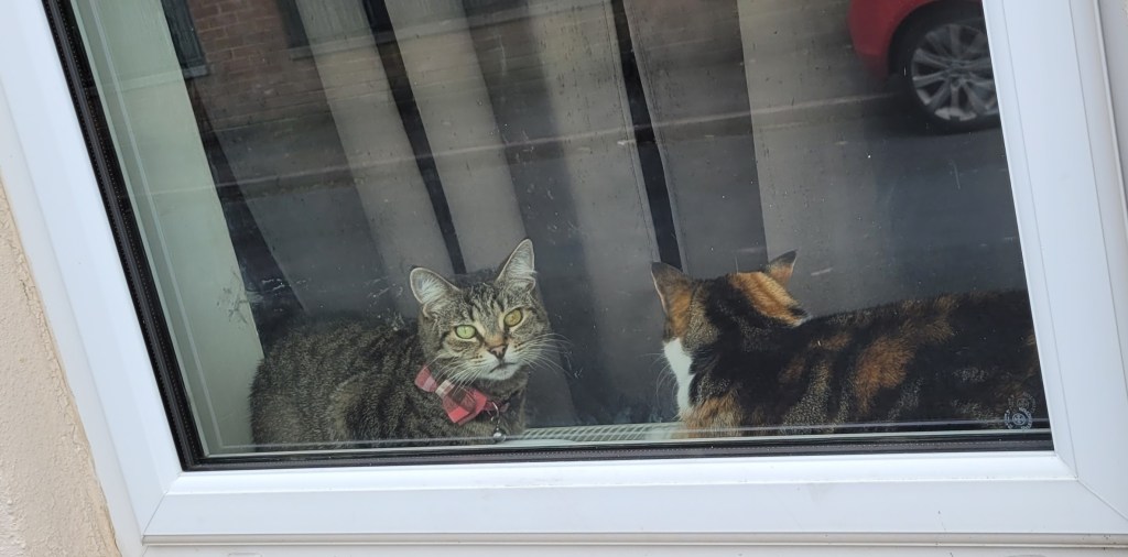 Diary of Village Life So&nbsp;Far